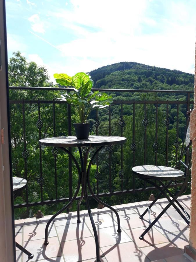 Apartmany Marie Jachymov Εξωτερικό φωτογραφία